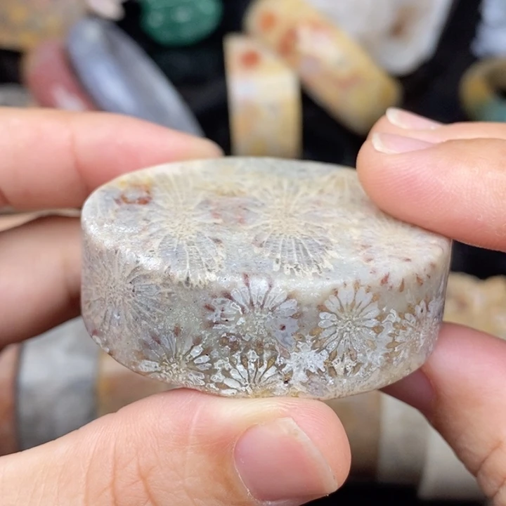 硅化玉颈饰未镶嵌