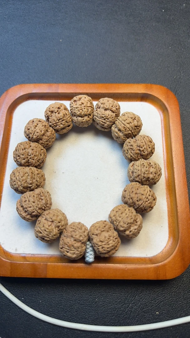 龙牙梅花超头（2号）