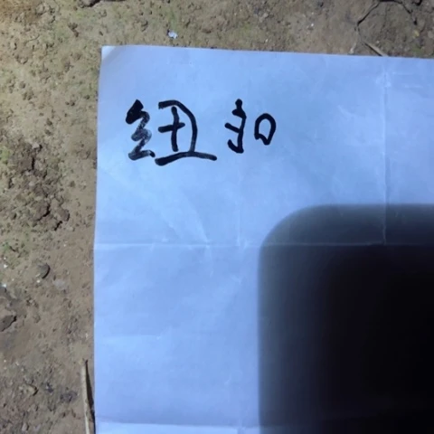 瑶*纽扣测压一个5
