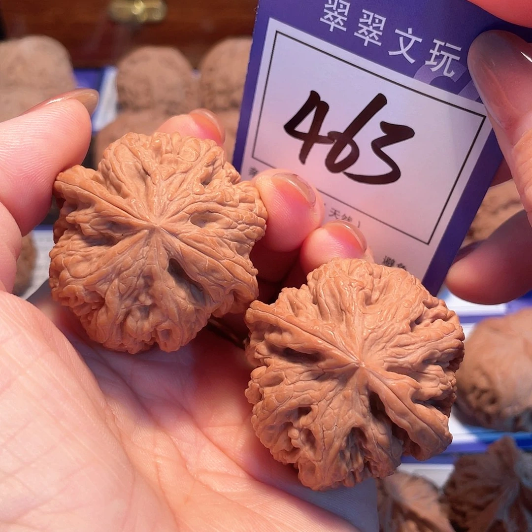 把件桃核263号全品粗筋4.3