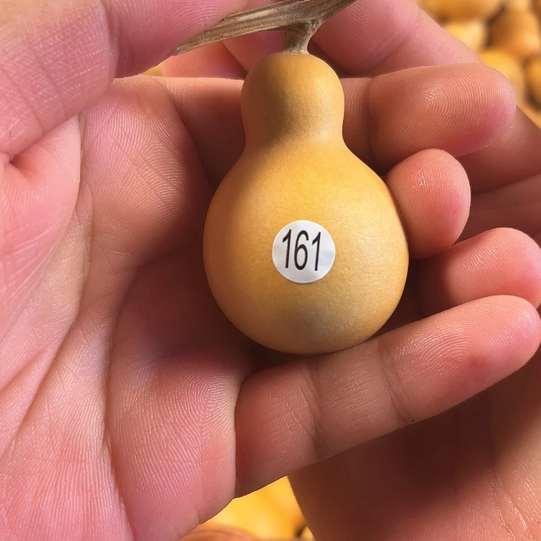 二葫芦葫芦葫芦葫芦161