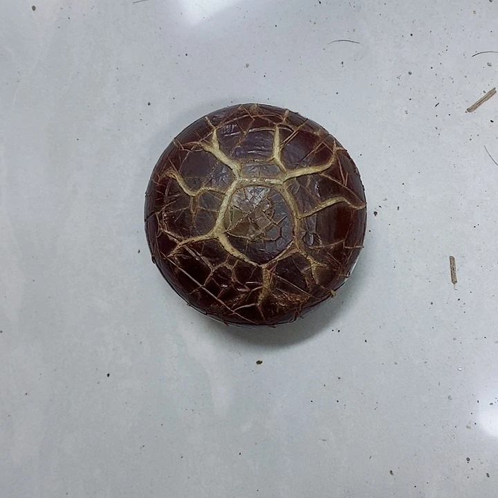 心***随去付吧哥谢谢谢谢