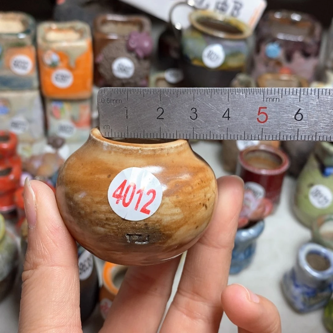 花盆拍5送一个小礼物