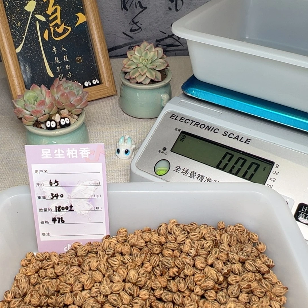 到***友柏香籽/百香籽吊坠