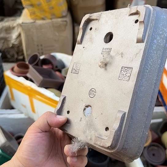 这就是为什么不可以说呢还是