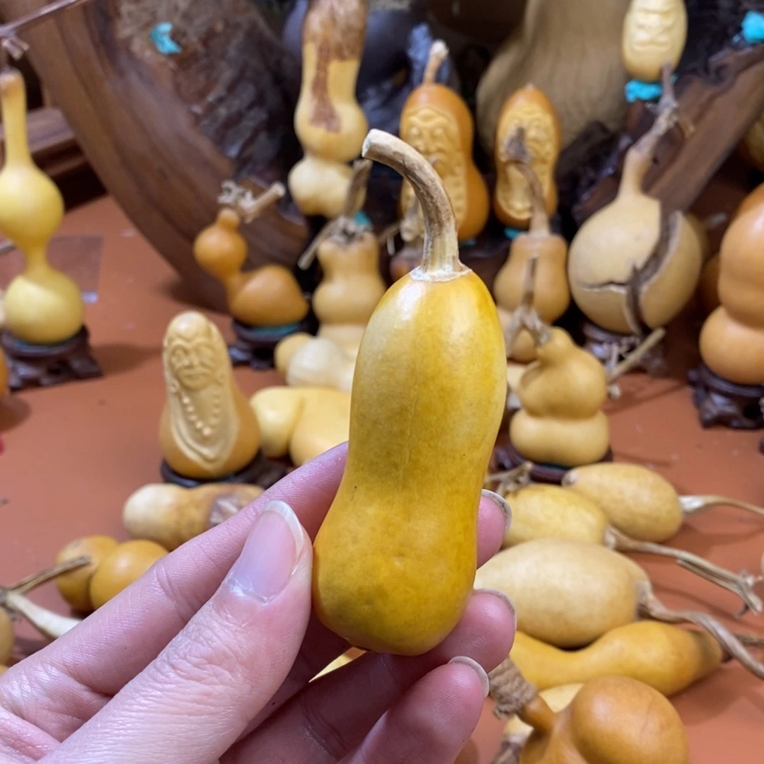 b***.教练咯路途路途考虑考虑