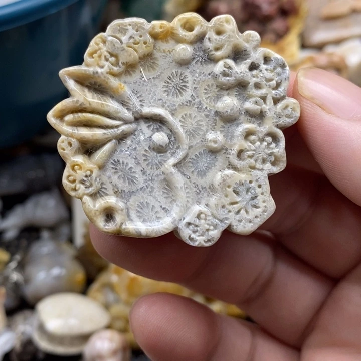 颈饰未镶嵌硅化珊瑚（珊瑚玉）