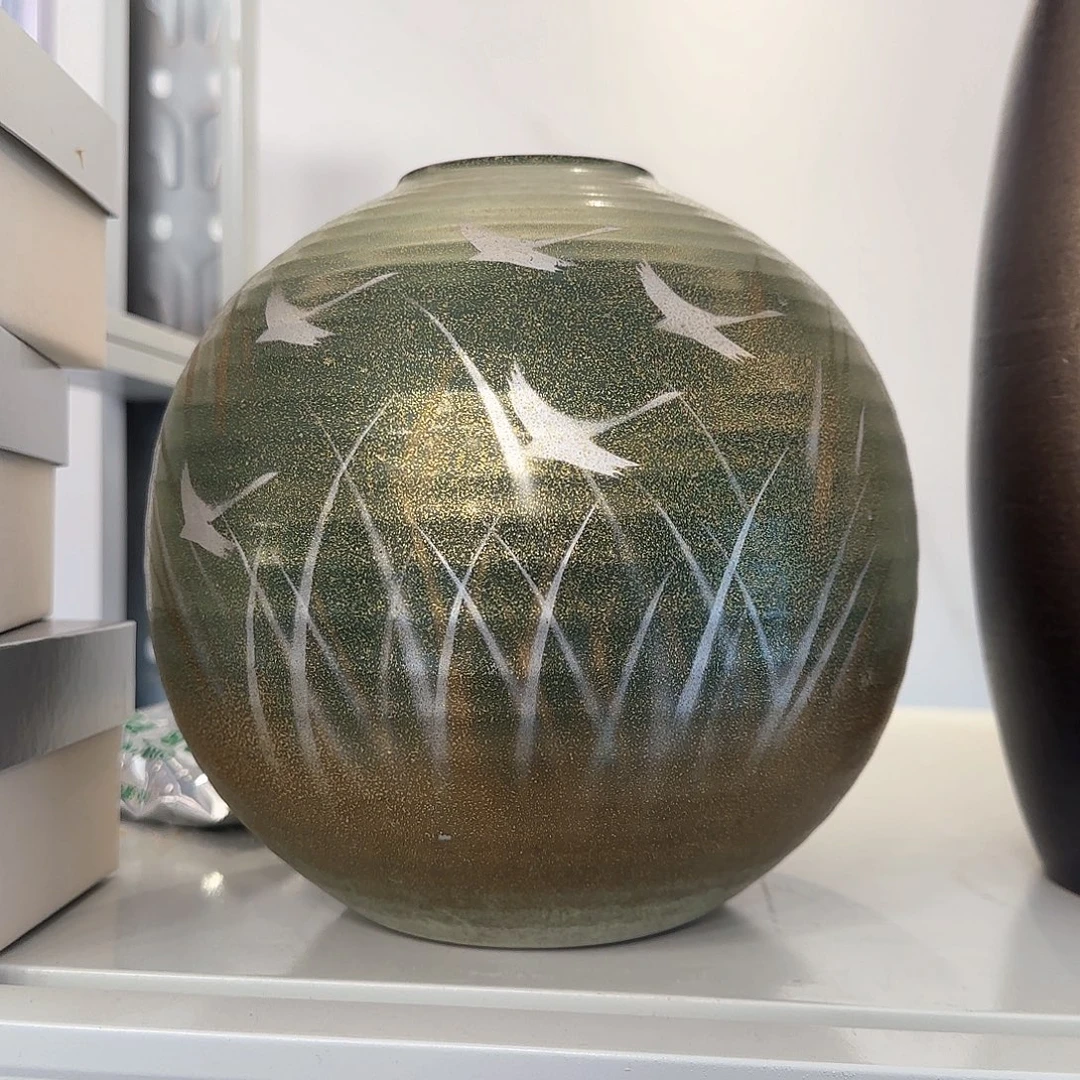 盖碗在家门口看到有条不太