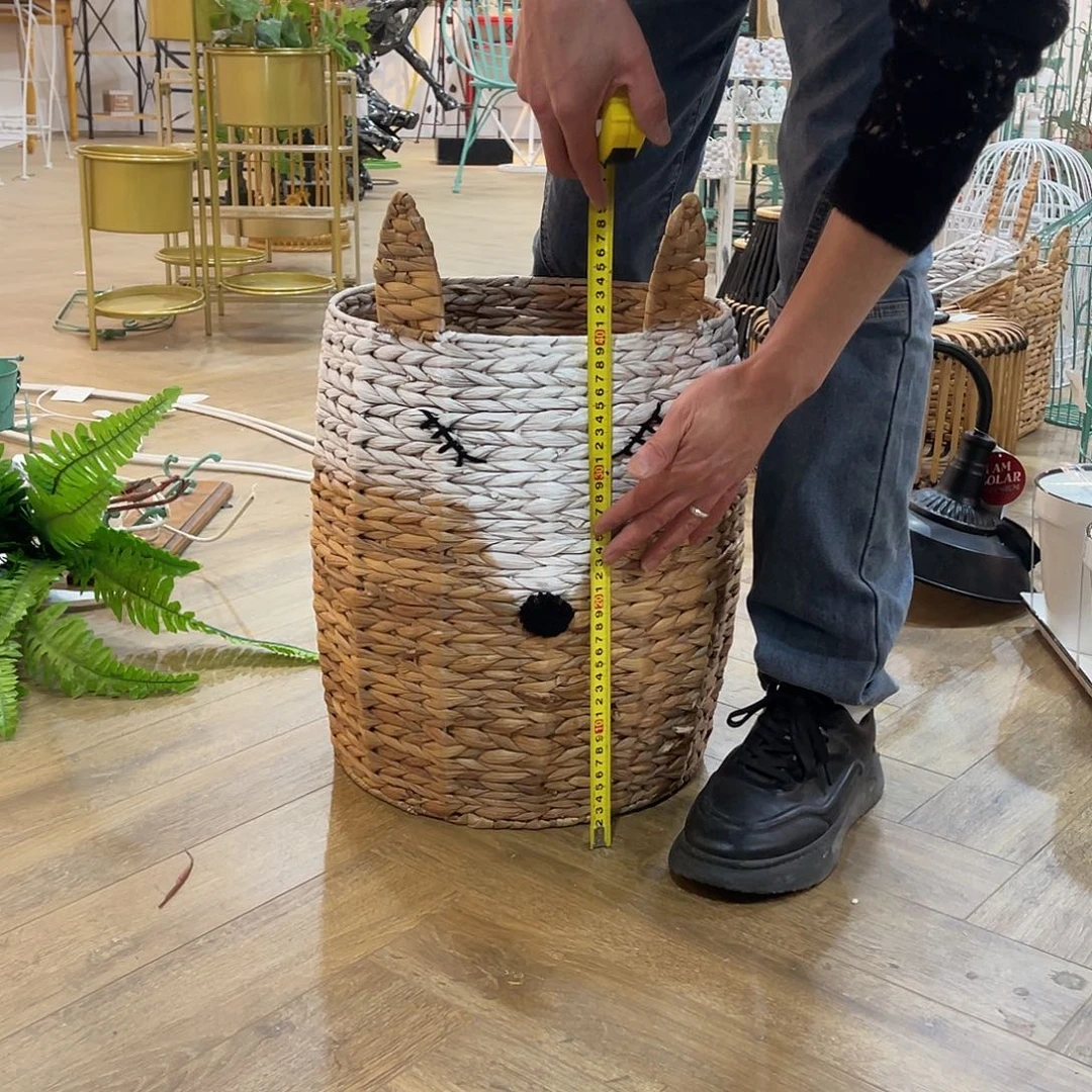 红陶红陶红陶红陶