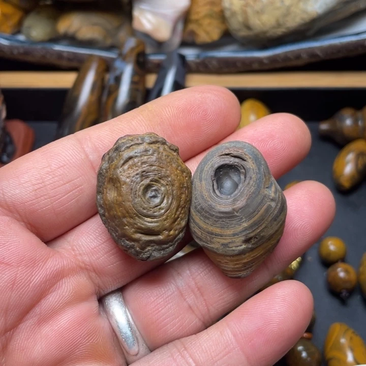 石材奇石怪石原石1