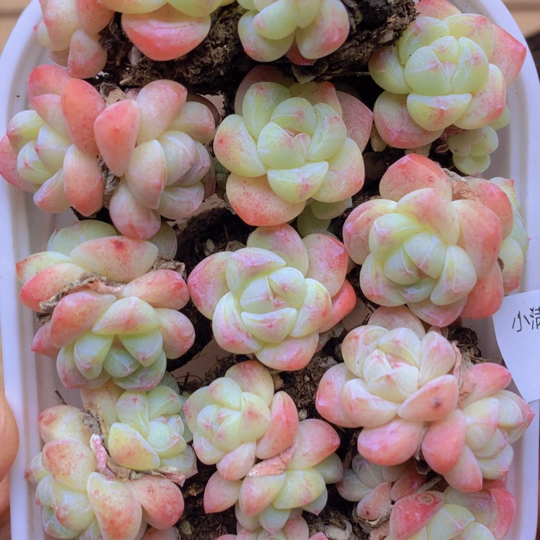 我要去看你了啊我040