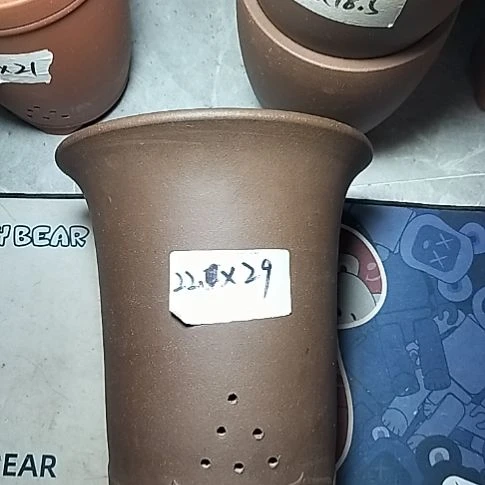 莲花金钟一个花盆