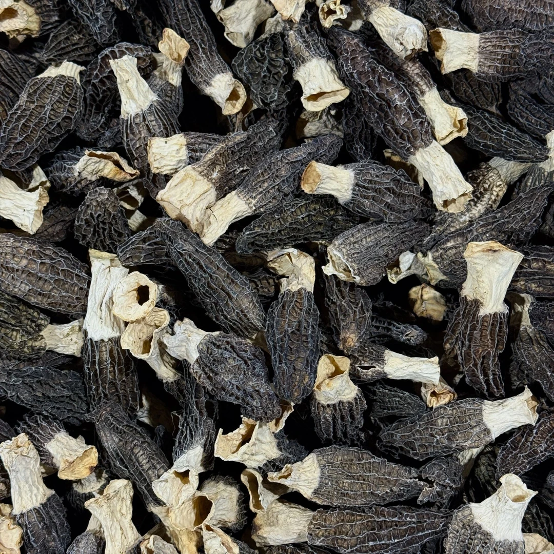 528480A大规格羊肚菌干菌菇