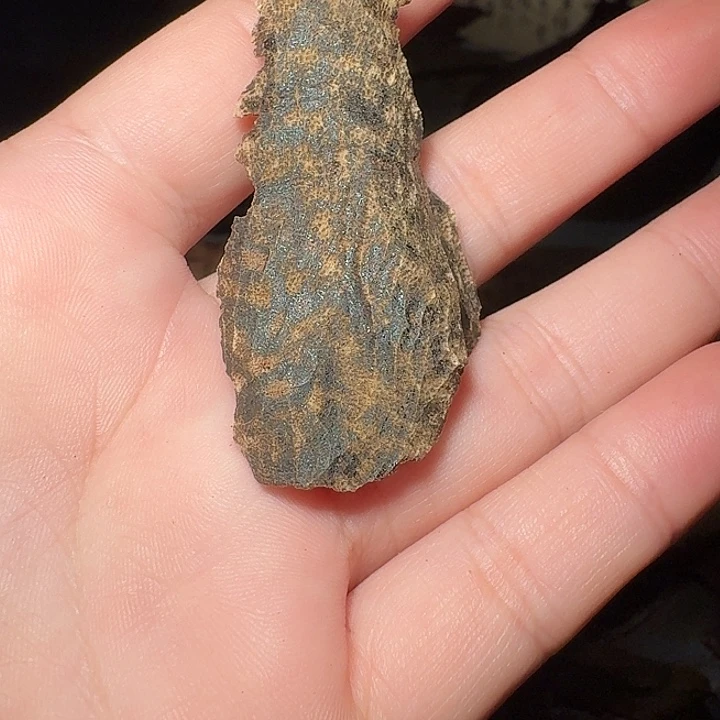 沉香沉香碎屑海南沉水板头熏香料（0.3克）