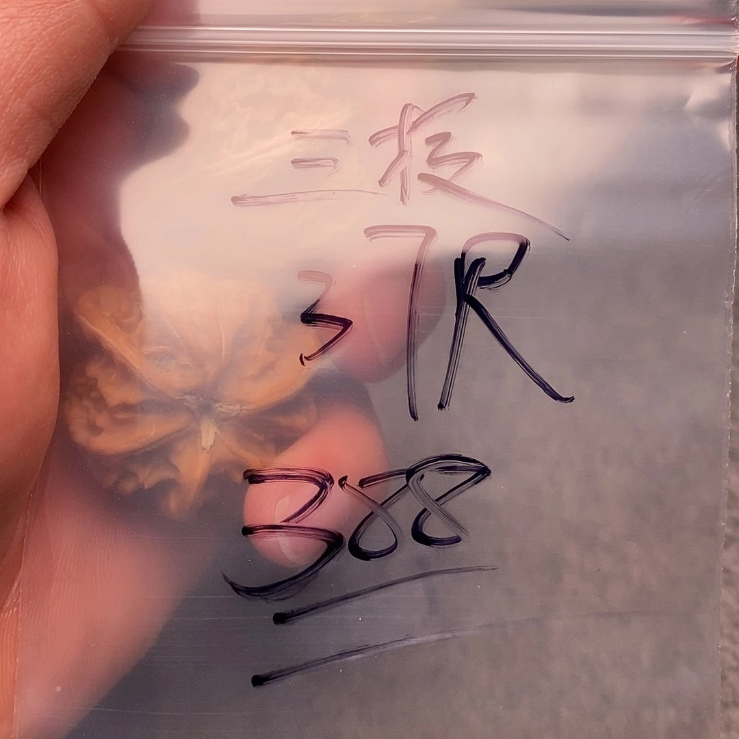 文玩核桃把件三棱