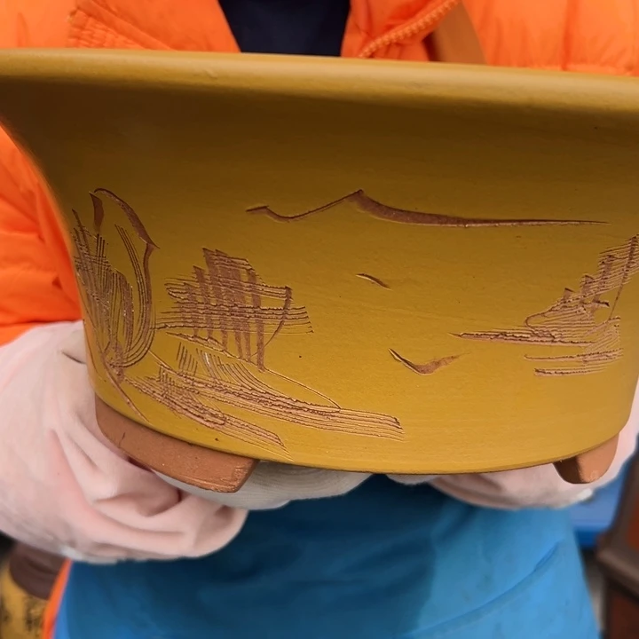 33黄票口花盆花盆花盆花盆