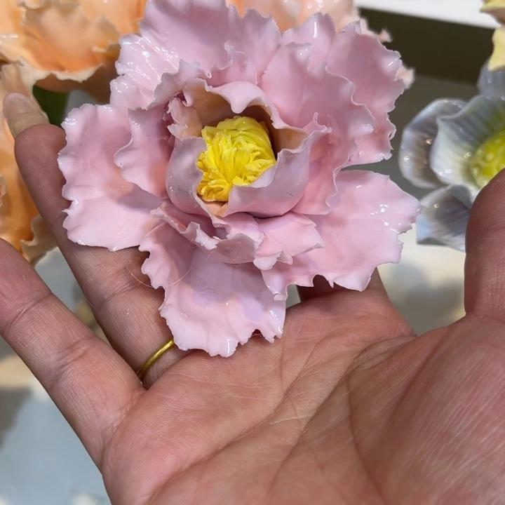 瓷片588885588955555555