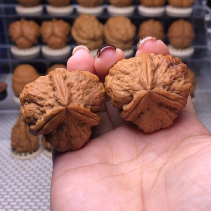 文玩核桃把件65号粗筋小盘石37尺