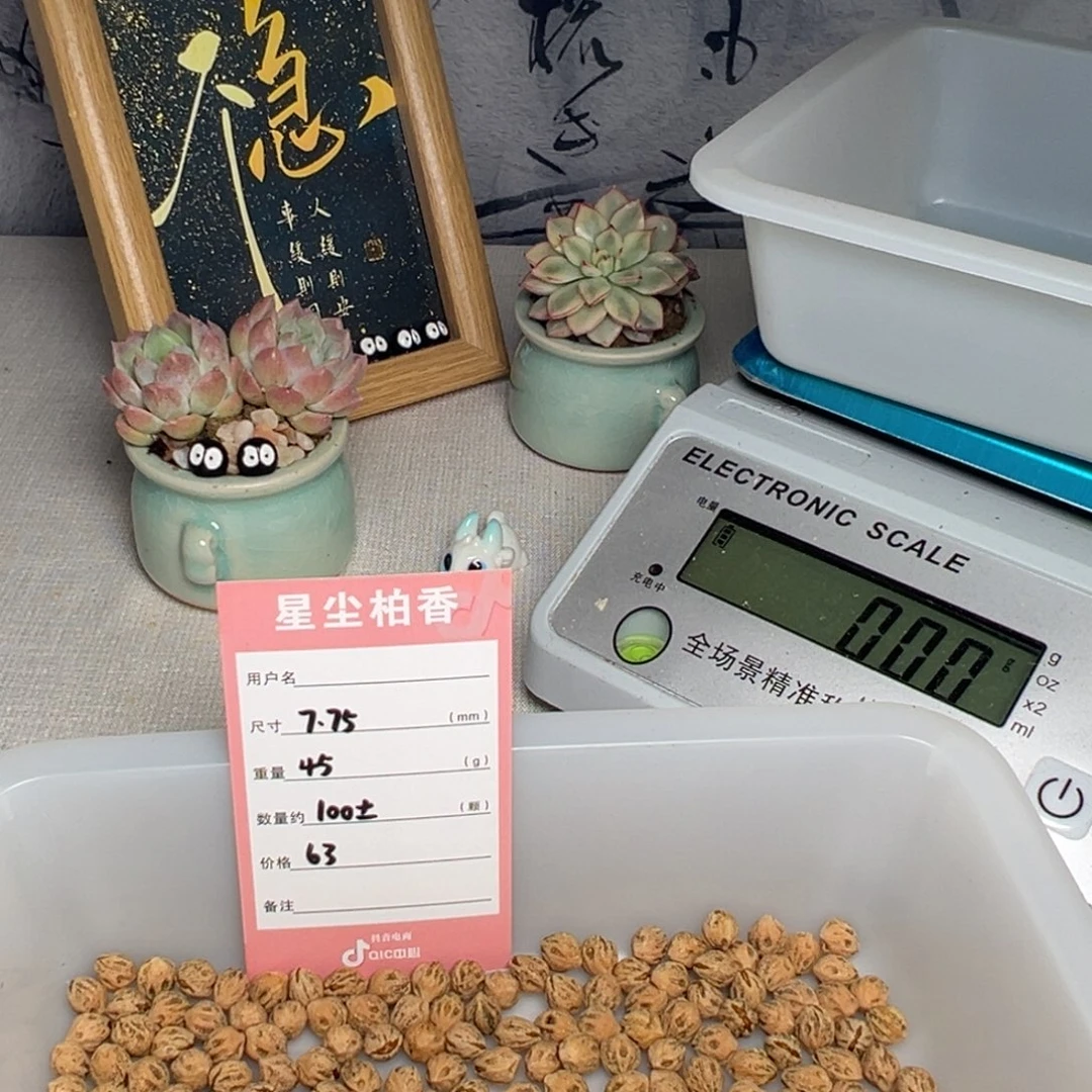 h***a柏香籽/百香籽吊坠