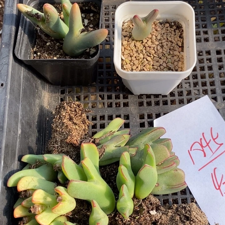 1845一组一组一组