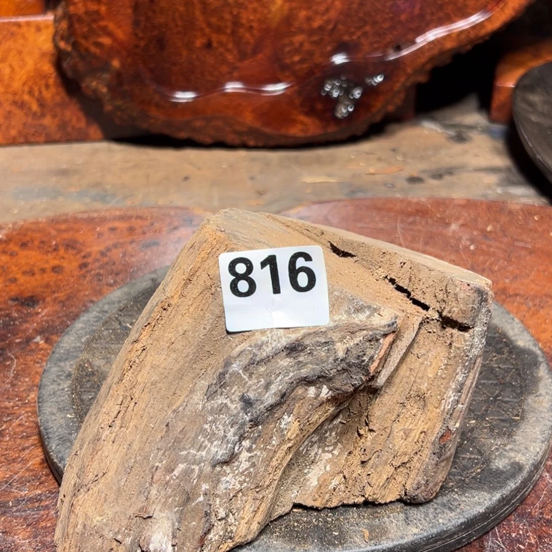 大果紫檀（缅甸花梨）