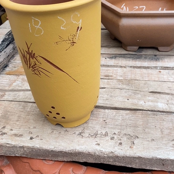 花盆紫砂哈哈哈哈哈