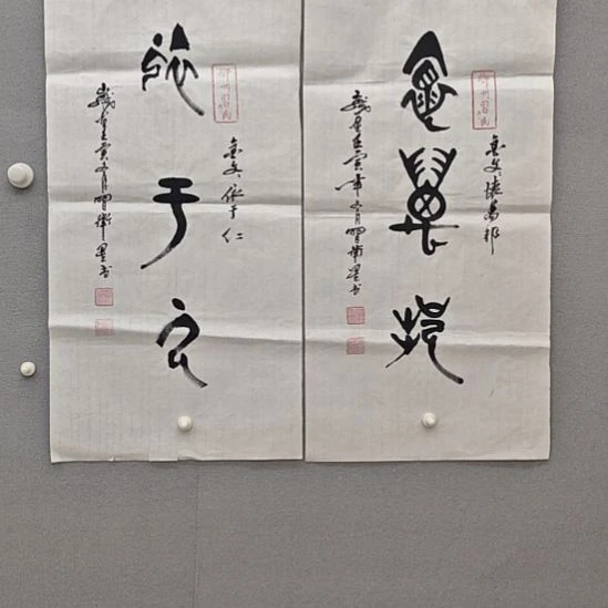 卫星老师精品书法作品