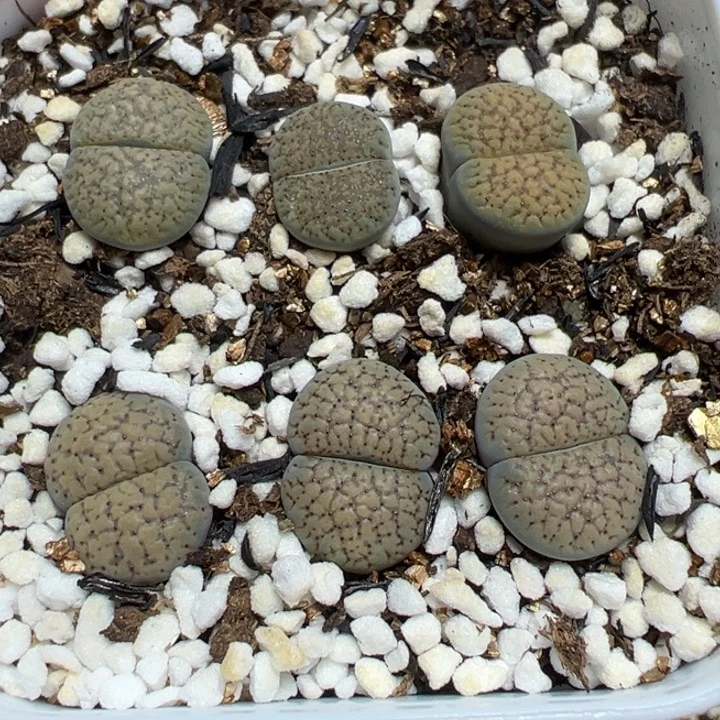 【闪购商品】 767.