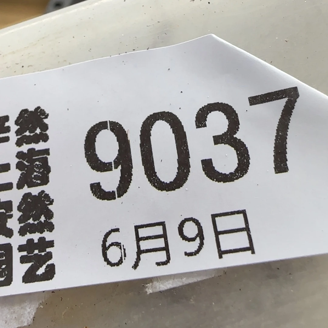 芝***-6.9。。  .6饼干。9037。