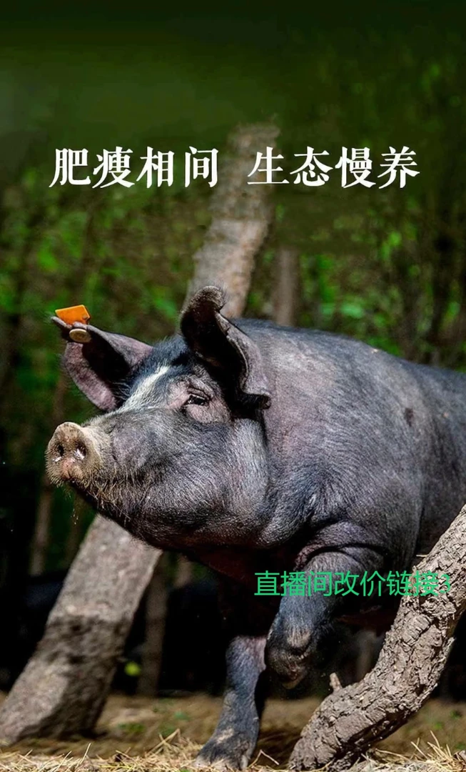 三号链接【无抗无激素】纯粮慢养（一年以上）黑猪肉5斤装