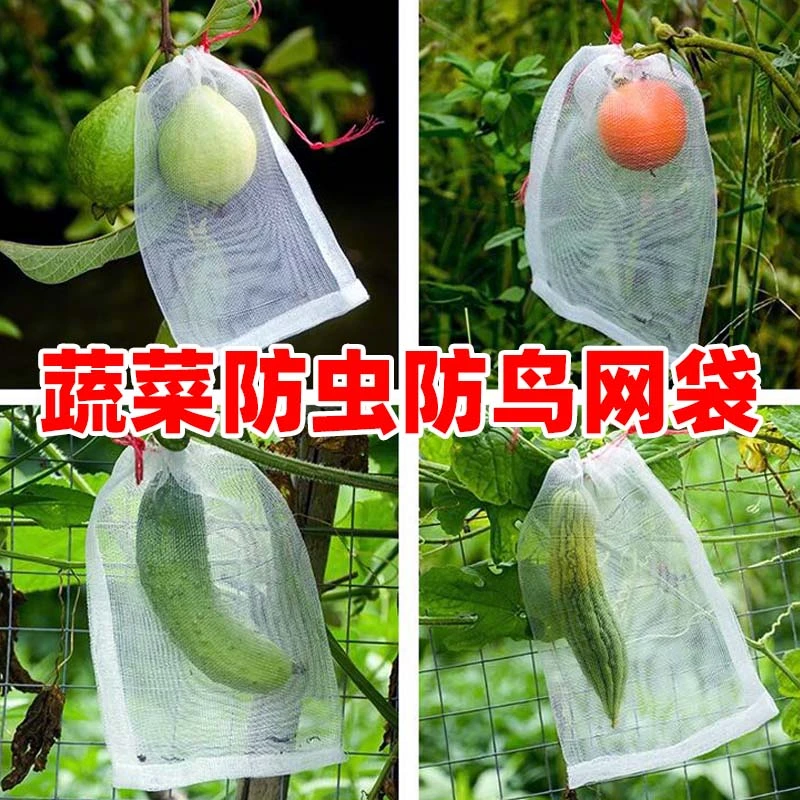 葡萄袋无花果番石榴高粱草莓芒果桃子套袋果树防虫防鸟纱网袋保护
