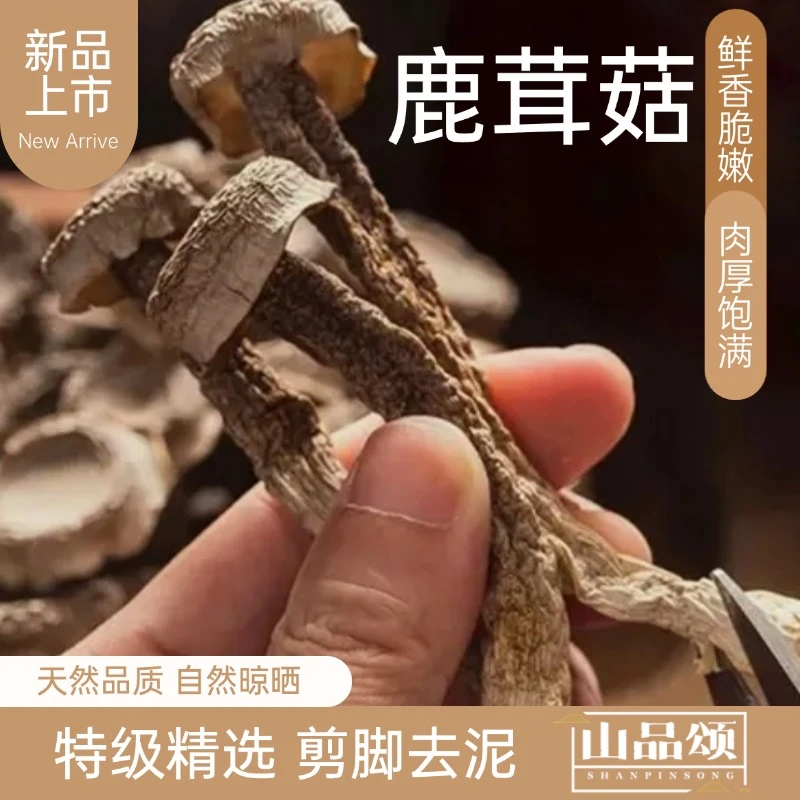 鹿茸菇 干品 特级精选 自然晾晒