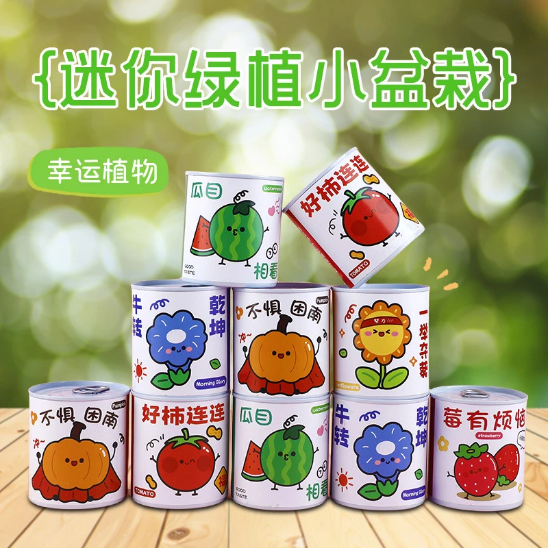 DIY易拉罐种植室内小盆栽迷你绿植好养学生方便观察植物生长