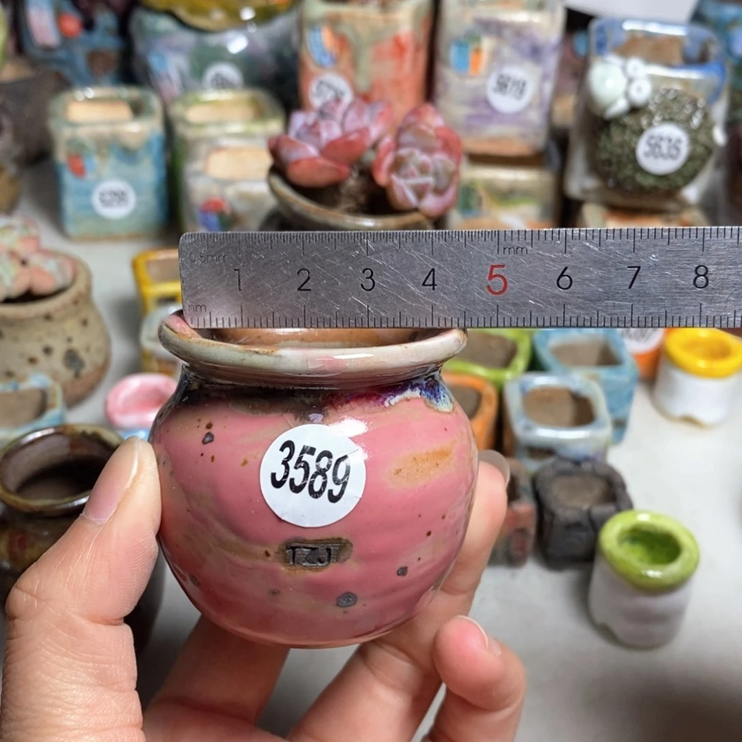 拍5送一个小礼物