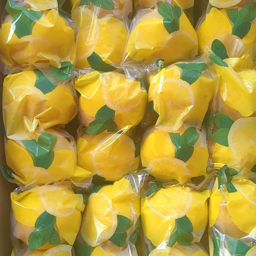 【富锦】安岳尤力克黄柠檬2粒装/9.9/2包