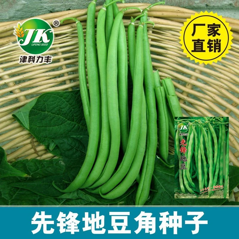 先锋地豆种籽长豆角豆种子高产易种植蔬菜种子农作物种菜蔬