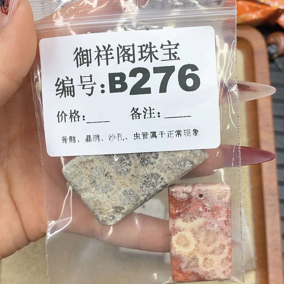 硅化珊瑚（珊瑚玉）颈饰未镶嵌L***理