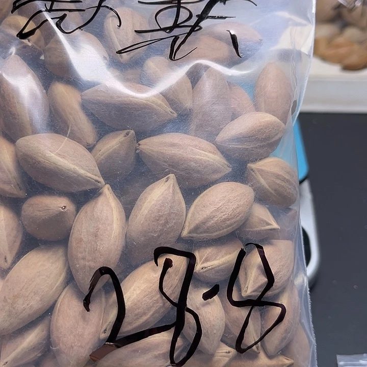 默***默手串/手链橄榄核1112