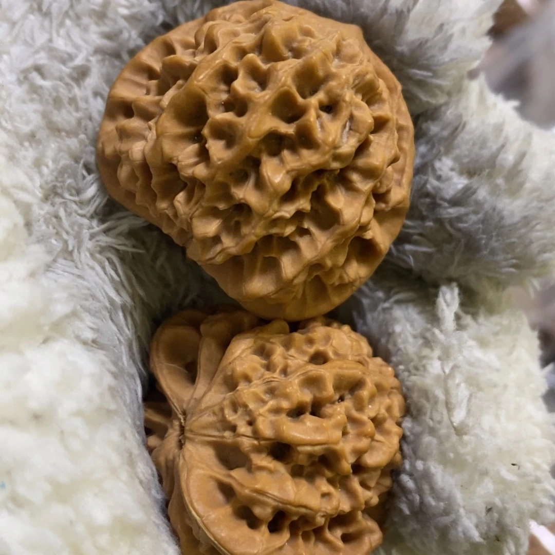 秦岭南侧和东北的秦闷