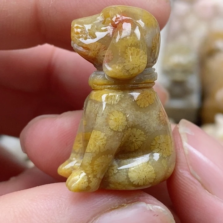 颈饰未镶嵌硅化珊瑚（珊瑚玉）