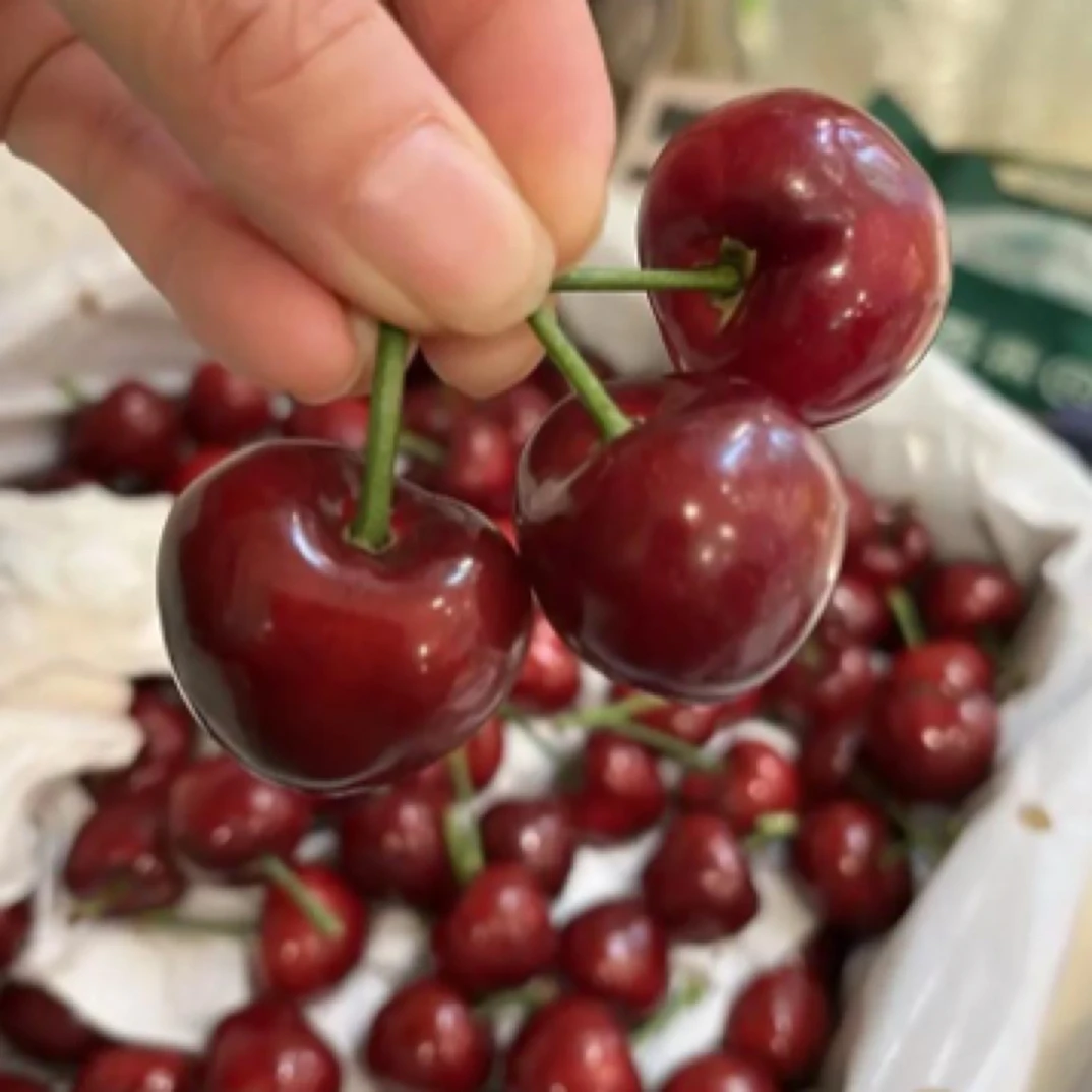 2J车厘子1斤【洗装盒】海运桑提娜智利