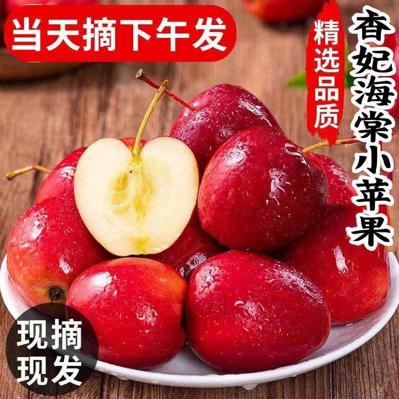 【香妃海棠小苹果】新鲜采摘鸡心果脆甜可口现摘现发