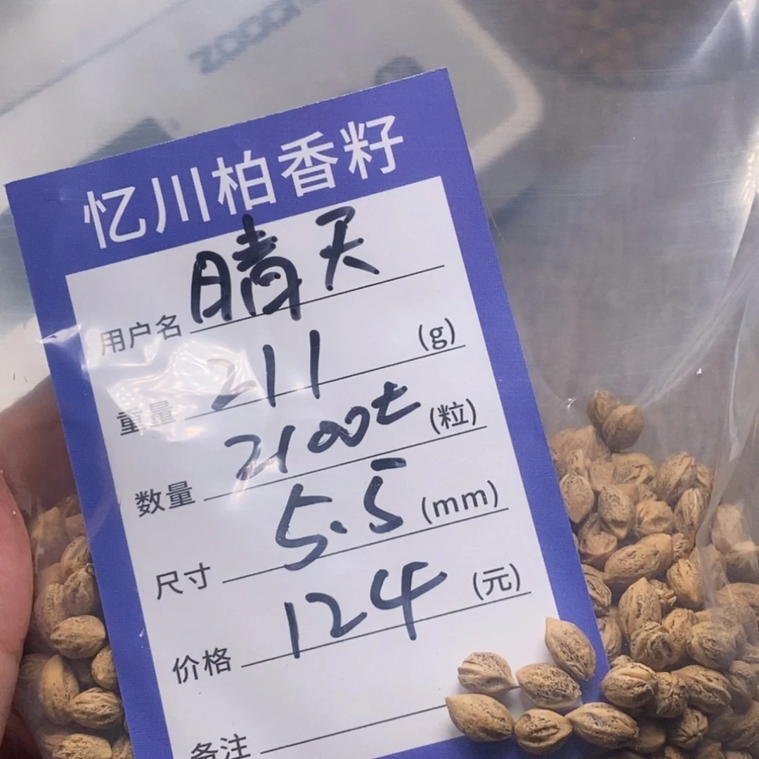 柏香籽/百香籽吊坠晴*