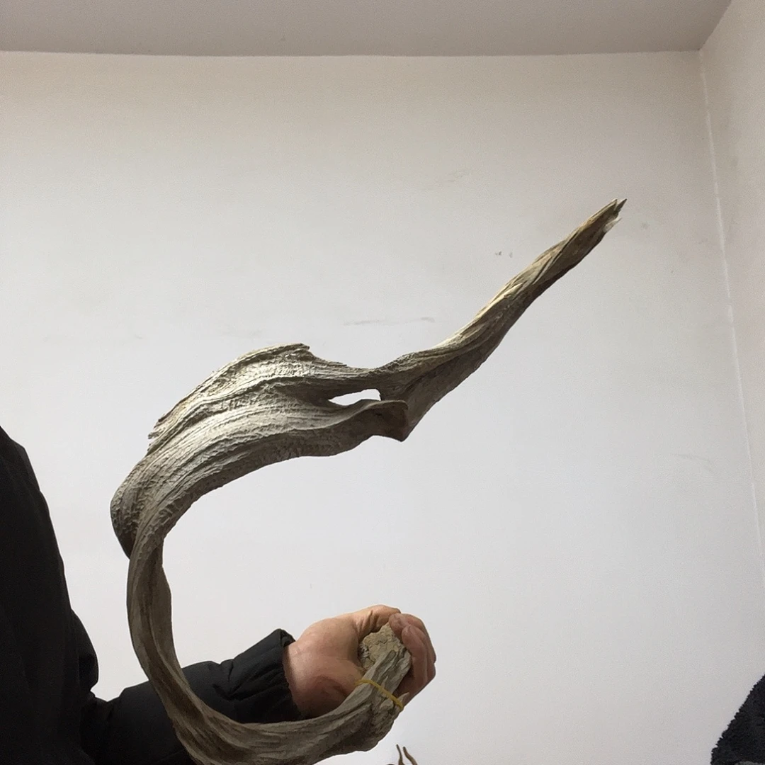 你***肚柏木（崖柏）这个世界上没有什么东西