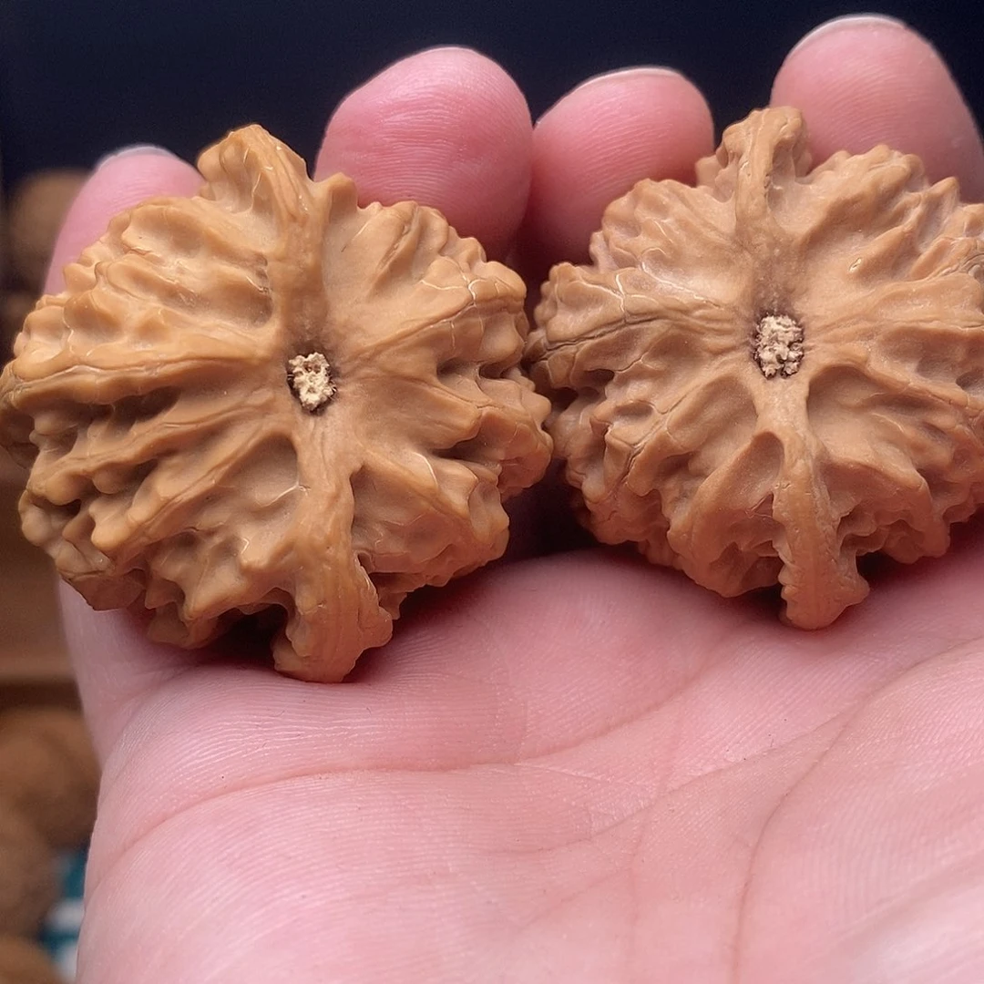 文玩核桃把件虎*44➕苹果圆