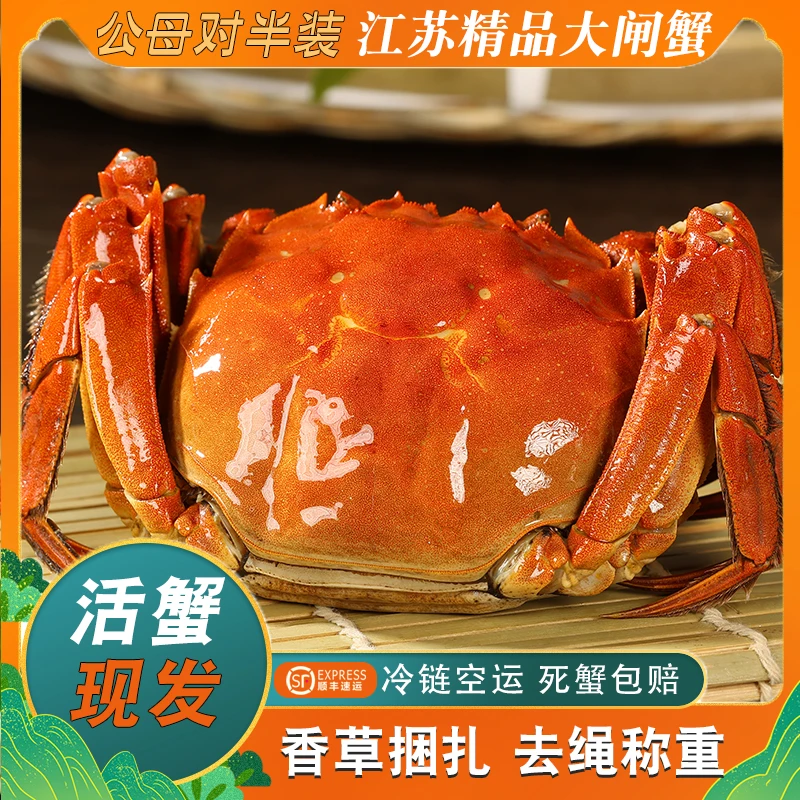 【江苏活蟹】大闸蟹 公(4.3-4.0两)母((4.3-4.0两) 6-10只 顺丰包邮
