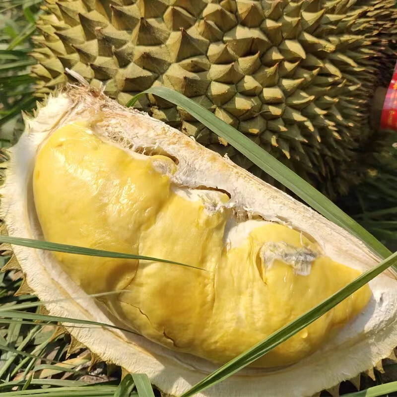 LLJ【空运包邮】正宗泰国进口金枕榴莲核小4到8斤新鲜榴莲金金枕泰国东部