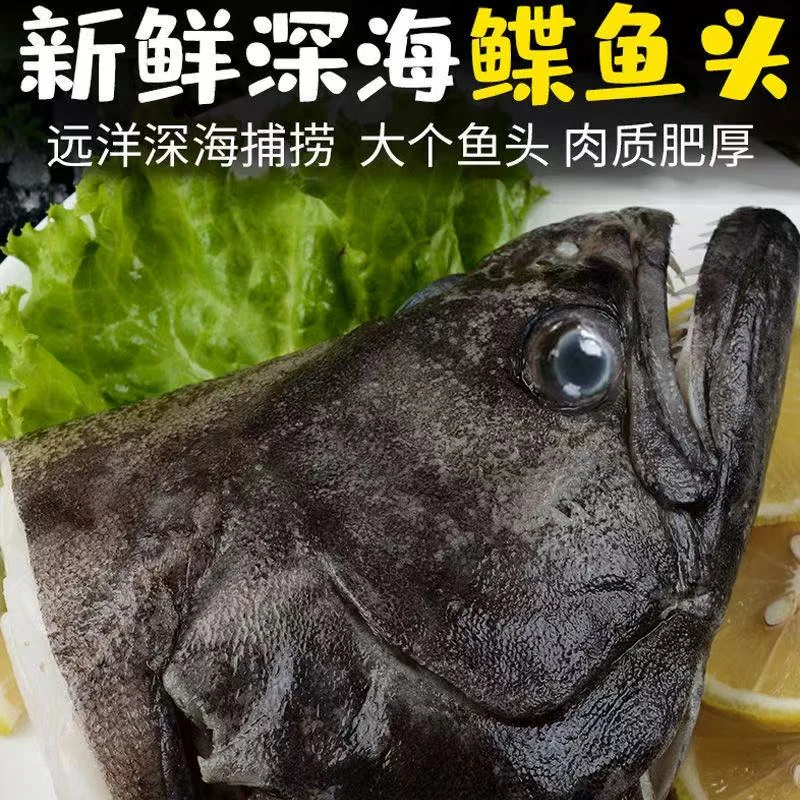 深海冷冻大鲽鱼头鸦片鱼头比目鱼头海鲜新鲜美味