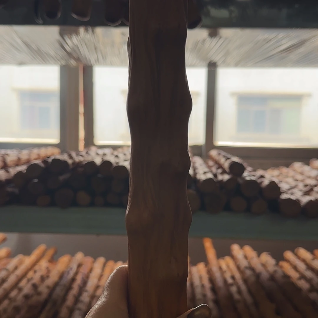 金***涛云南对节木车载棍