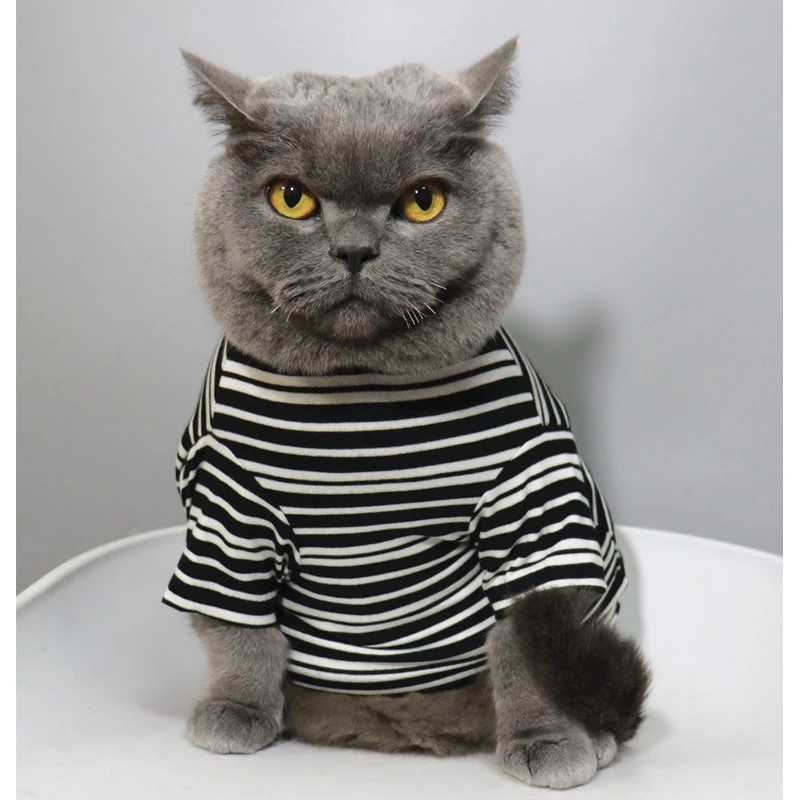 原创猫咪衣服夏季薄款防掉毛纯棉透气比熊小狗服装宠物T恤条纹